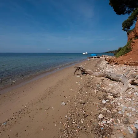 Daniil's Seafront Apartment