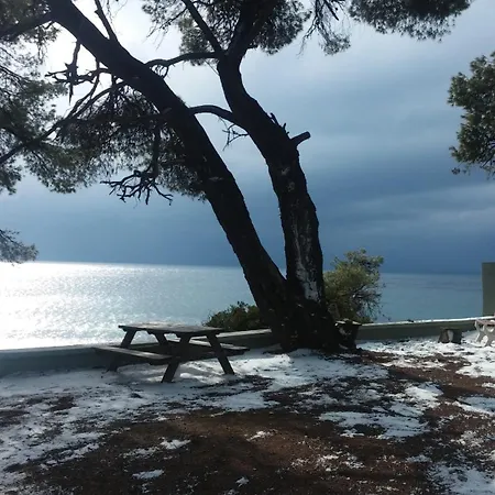 Daniil's Seafront Apartment Nikiti (Sithonia)