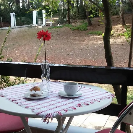 Appartement Daniil's Seafront