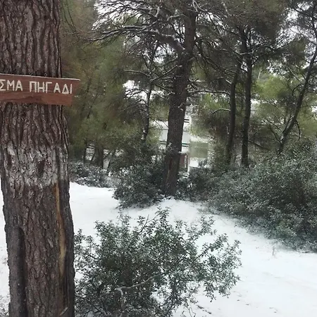 Appartement Daniil's Seafront