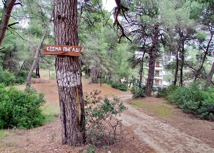 Daniil's Seafront * Nikiti (Sithonia)