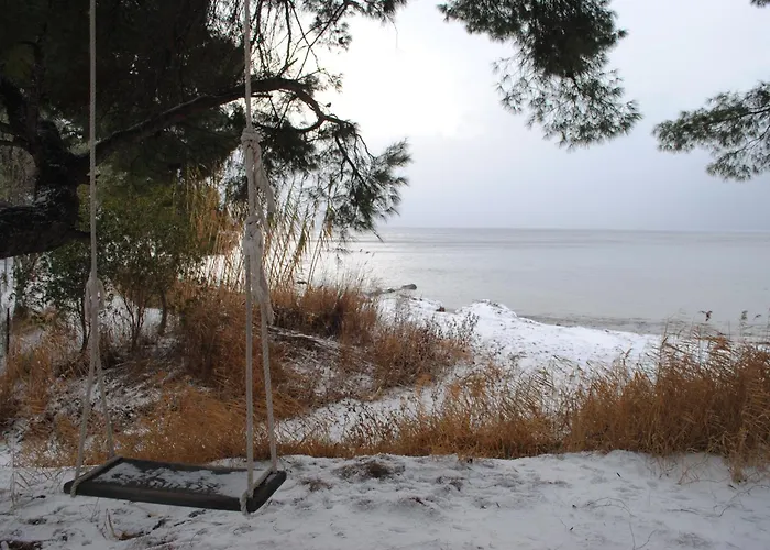 Daniil's Seafront * Nikiti (Sithonia)