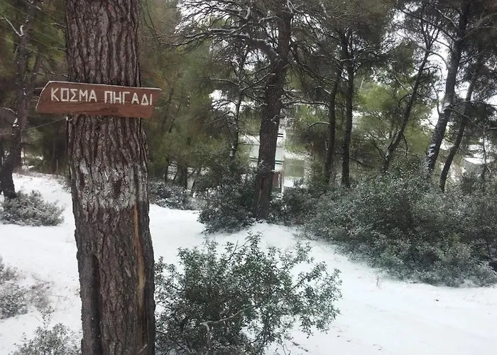 Appartement Daniil's Seafront