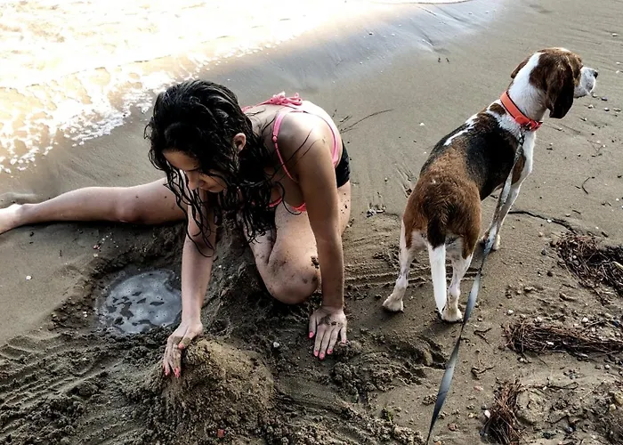 Daniil's Seafront Appartement Nikiti (Sithonia)