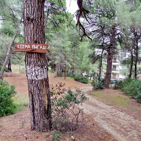 Daniil's Seafront * Nikiti (Sithonia)