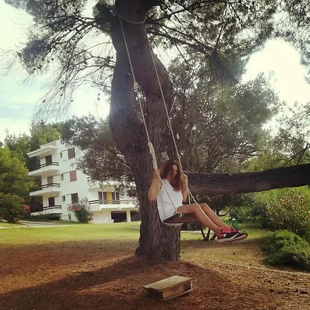 Daniil's Seafront * Nikiti (Sithonia)