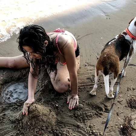 Daniil's Seafront Lägenhet Nikiti (Sithonia)