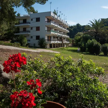 Daniil's Seafront * Nikiti (Sithonia)