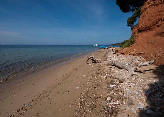 Daniil's Seafront شقة